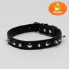 Пижон / Dude / Collar "Lion" with spikes 47 x 2 cm, black