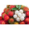 Canned Rambutan with Pineapple