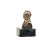 Золотая антилопа / Bust "Korolev S.P."