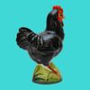Figurine porcelain "Chicken in black"