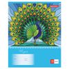 BRAUBERG / Notebook 12 y. cage, cardboard cover, "AMAZING BIRDS" / 20 pcs.
