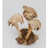 Decor and Gift / Statuette en bois de la "Grenouille sur le champignon"