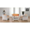 Rattan furniture set - - SF29
