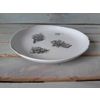 Хорекс / Horex / Plate "Gazzetta Bianco" organic media 6 pcs.