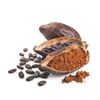 Cocoa Powder