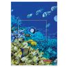 Folder area BRAUBERG "SEA WORLD", A4, 150 micron, color printing