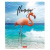 HATBER / Notebook А5, 48 sh., Bracket, cage, cardboard cover, "Flamingo" / 10 pcs.