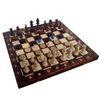 GamesDealer / Schach + Dame + Backgammon "Torment 4", Wegiel