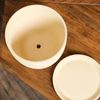 Керамика ручной работы / Flower pot "Autumn" 3 l