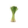 Lemongrass