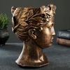 Хорошие сувениры / Vase "Head of Venus", bronze