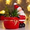 Сималенд / Snowman with succulents in a pot"