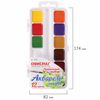 Watercolor school FISMA, 12 colors, honey, without a brush, plastic box