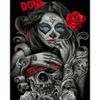 Опт-картина / Pintura por números 40x50 Fantasma y rosa