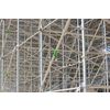 prefabricated stands with wedge joints, ringlock scaffolding system