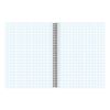 BRAUBERG / Notebook A5, 48 sh., Comb, cage, selective varnish, GLOBAL NETWORK / 10 pcs.