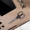 Scissors BRAUBERG "Standard" 160 mm, classic shape, black