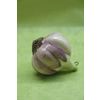 Ярославская майолика / Christmas tree toy "Garlic on a Christmas tree"