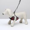 Пижон / Dude / Ammunition set with a soft harness, size M (ОШ 28-48, ОГ 32-52 cm, leash 120x1 cm