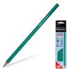 Crayons à mine noirs BRAUBERG SET 12 pcs., HB, sans élastique, corps en plastique vert