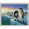 Опт-картина / Diamantmosaik 40x50, runde Strasssteine Walk of the Pinguins