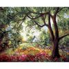 Опт-картина / Pintura por números 40x50 Antigo jardim