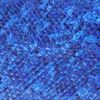 SALMON SKIN Natural - Hologram