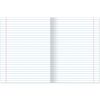BRAUBERG / Exercise books, 10-PIECE SET, "COLOR", 48 sheets, matte lamination, varnish, 70 g / m2,