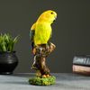 Хорошие сувениры / Figure "Parrot on a branch"