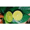 Fruit du dragon frais, citron vert, bananes, fruit de la passion