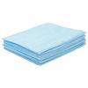 INMEDIZ / Non-sterile disposable sheets set 10 pcs., 140x200 cm, laminated spunbond, 40 g / m2, blue