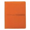 Альт / Diary grade 1-11, leatherette (hard), embossing, lace, 48 sheets., VELVET Orange / 10 pcs.