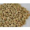 Green lentils GOST 7066-77