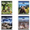 HATBER / Notebook А5, 96 sheets, VK, spiral, cage, cardboard cover, "LIVING NATURE" / 12 pcs.