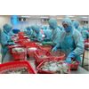 Frozen shrimp Spi Company