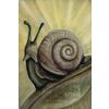 GamesDealer / Cartas del Tarot: "Oráculo de los espíritus liminales"