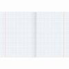 BRAUBERG / Notebook subject PASTEL 48 sheets, cardboard cover, SOCIETY, cage, tip / 10 pcs.