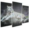 Сюжет / Wall clock "White tiger"