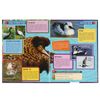 Умка / Umka / Encyclopedia "The most beautiful birds"