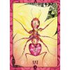 GamesDealer / Tarot Kartları: "Kadim Hayvan Bilgeliği Oracle"