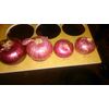 Fresh red onion