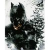 Опт-картина / Elmas mozaik, 40x50, kare rhinestones Batman