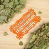 Добропаровъ / Dấu hiệu cho bồn tắm "Bồn tắm kiểu Nga - người chữa bệnh dân gian" 30x17 cm