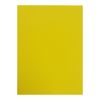Альт / Cardboard color double-sided A3 10 sheets