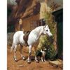Опт-картина / Malen nach Zahlen 40x50 Pferd und Hund