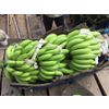 FRESH CAVENDIAN BANANA