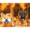 Опт-картина / Malen nach Zahlen 40x50 Herbstspiele