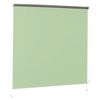 Curtain roll lightproof BRABIX 60x175 cm, light green/silver
