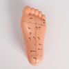 Сималенд / Foot acupuncture model, 13 cm