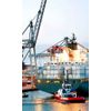 Customs clearance of goods and goods in St. Petersburg